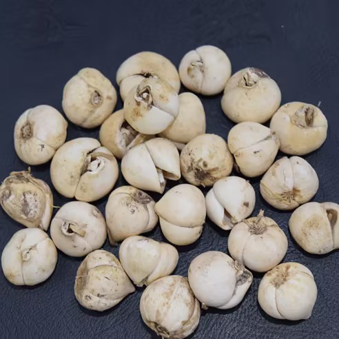 0000069001-PRODUCT-20160901160926-21-crop-original.jpg