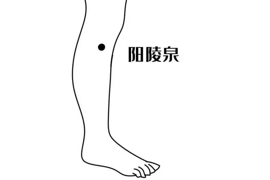 eabe9bf7002c768091b72d3ac369477.jpg