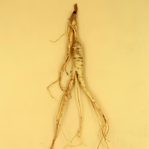 1693895822702500[1].jpg